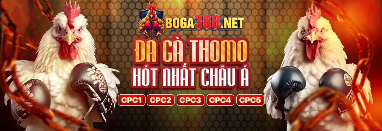Đá gà 88.com C1 hôm nay